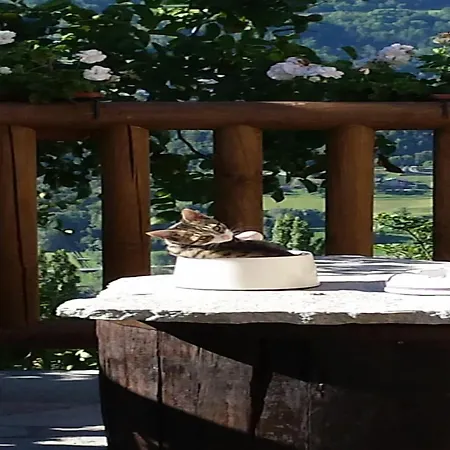 With In Valle D'aosta, Cleaning Included Chalet Villeneuve